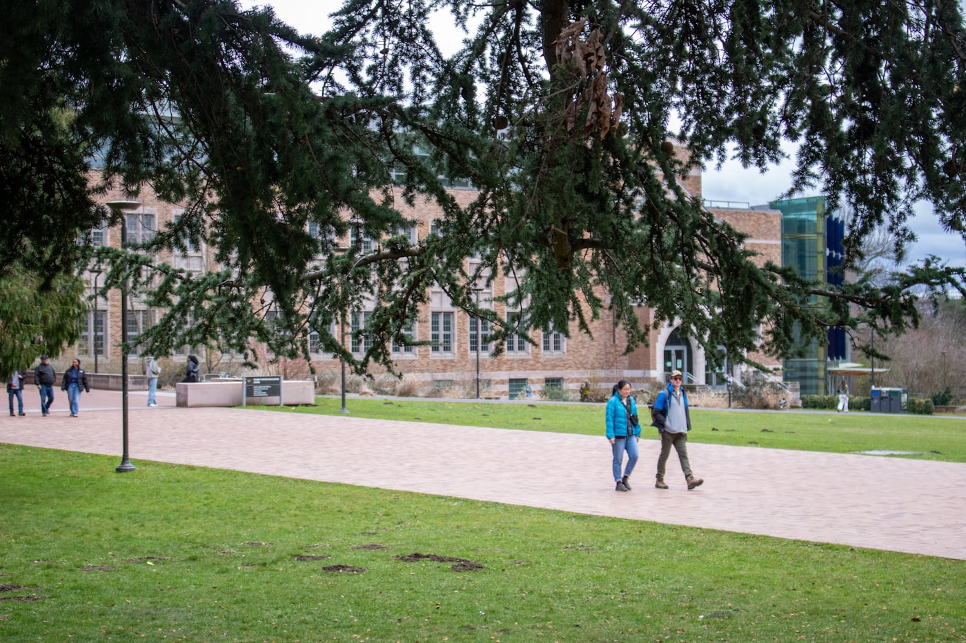 Studierende laufen über den Campus